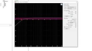 DSP Control of a Radius System