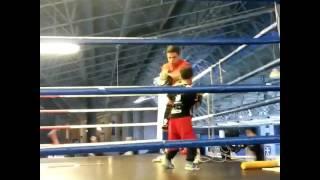 VIZANTINOS TARGET SPORT CLUB-BOXING JUNIOR-MITTPADS WORK OUT-GATSIS