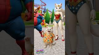 why is wonder cat so angry!! #cat #catvideos #catlovers #shortsfeed #trendingshorts