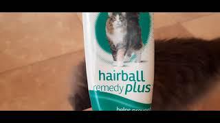 Hartz hairball remedy plus for cats. Stormy Weather's favorite 