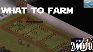 Ranking the Best Crops to Farm in Project Zomboid! What to Farm in PZ  Project Zomboid Farming Guide