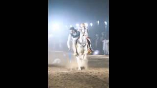 Nazabazi with Mubashar Tiwana#beautifulhorses #horse #pakistan#punjab #youtube#youtubeshorts