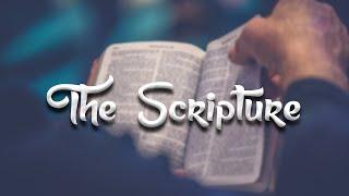 Dancehall Riddim Instrumental "The Scripture" Prod. By Oxygen Muziq