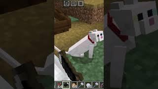 #how to become rich in minecraft in one night#minecraft #shaurya#gaming #proboiz #mrbeast