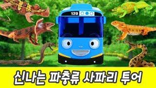 Reptile safari tour !! animals names for kids, kids story, collecta #141ㅣCoCosToy