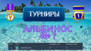 Стрим РР3 Го в Топ туры Китолов идет на Альбиноса и на Рака.