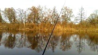 Рыбалка в Пинске + Паратрайк (аэрошют) над рекой Припять 3.04.2016 Fishing in Pinsk