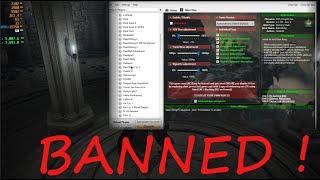 Flawless Widescreen  will get you BANNED from Elden Ring !