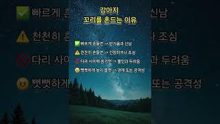 강아지 꼬리를 흔드는 이유 #강아지 #명상 #명언 #삶 #삶의지혜 #좋은글 #좋은글귀 #인생 #인생명언 #인생조언 #아침 #아침묵상 #건강 #철학 #부자 #자기계발  #학습