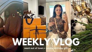 WEEKLY VLOG! Went out of town + luxury birthday gift + Christmas decor shopping+ cleaning & New car