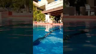 Poolside at Arizona Grand Hotel #travelvlog #travel #arizona