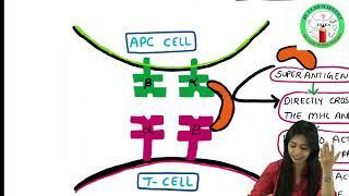 Antigen PART II - Super Antigens