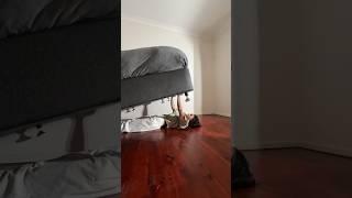 Day 1830 of doing HOME WORKOUTS #calisthenics #homeworkout