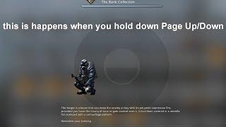 CS:GO Panorama UI Weapon Inspect Glitch