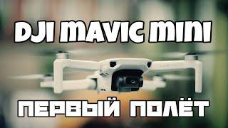 Купил дрон. dji mavic mini. Первый полет.