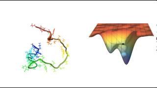 Protein Folding