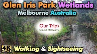 GLEN IRIS PARK WETLANDS WALKING TOUR MELBOURNE VICTORIA AUSTRALIA | GARDINERS CREEK VALLEY | BIRDS