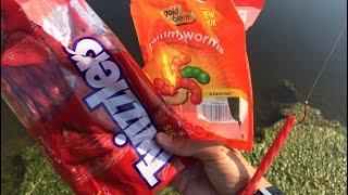 Gummy Worm vs. Senko Fish-Off!!!