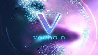 What is Vechain & VeThor?