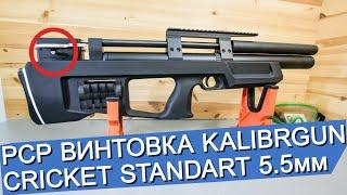 Пневматическая винтовка Kalibrgun Cricket Standart BullPup (5.5 мм, Пластик) видео обзор 4k