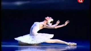 The Dying Swan Svetlana Zakharova Camille Saint-Saens