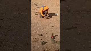 Young Syrian removes mines on the outskirts of the city of al-Bab.