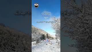 Surah An-Noor verses 31 (part 3) #quran #islam #surahnoor