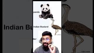 UPSC PYQ GeoScientist 2025 through Trick & Elimination #iasaspirants #iasprelims