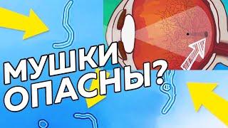 Мушки перед глазами. Почему возникают?Опасно ли это?