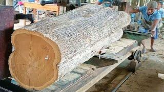 giant old teak wood full of beautiful grain is sawn into planks and beams at the sawmill