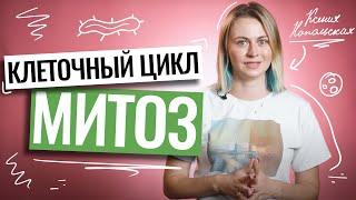 Клеточный цикл: митоз | ЕГЭ по биологии | Ксения Напольская | 100балльный репетитор