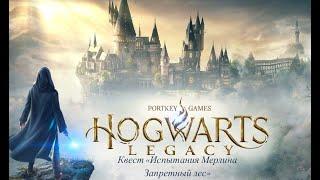 Hogwarts Legacy прохождение (Квест: Испытания Мерлина Запретный лес)