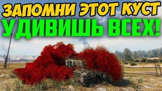 ЕСЛИ ТЫ ИГРАЕШЬ НА ЛТ, ЗАПОМНИ ЭТОТ КУСТ!!