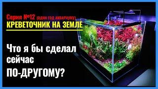 12. АКВАРИУМУ год. ЧТО я бы сделал ПО-ДРУГОМУ. Советы НОВИЧКАМ на основе моего ОПЫТА