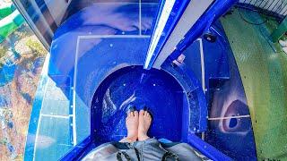 AquaLoop Trapdoor Water Slide [NEW] Center Parcs De Kempervennen POV