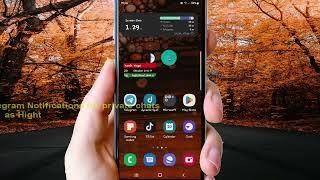 Android Phone : How to set Priority in Telegram Notifications for private chats as Hight