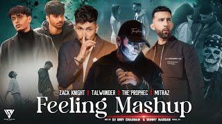 Zack Knight X Talwiinder X The PropheC X Mitraz : Feeling Punjabi Mashup 2024 | Sunny Hassan Visual