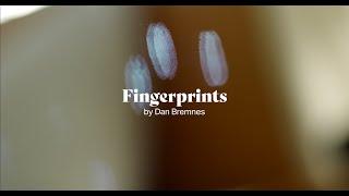 Dan Bremnes - Fingerprints (Official Music Video)