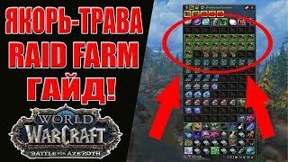 WoW BFA: Якорь-трава Рейд фарм золота