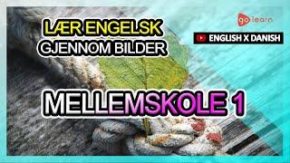 Lær Engelsk Gjennom Bilder |Engelsk Ordforråd Mellemskole 1 | Golearn