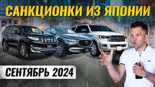 Топ санкционных автомобилей из Японии Что выбирают в сентябре 2024?