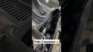 TREKIR 2  MUAMMOSI 