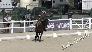 Sebastián López García & Piropo P  Doma