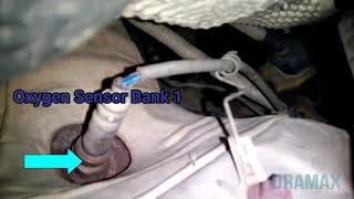 Ford Focus 2000 - 2009 Oxygen Sensor Bank 1  sensor 1 Location