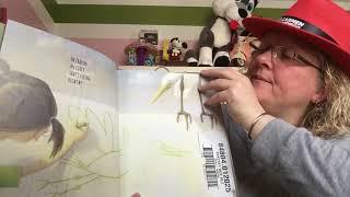 Dr. Bucci reads What to do with a Box
