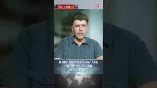 В Беларуси началась «политическая оттепель»? / Павел Усов #политика #беларусь #лукашенко #новости