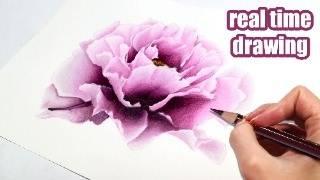 Mastering Realistic Floral Art: Simple Peony with Colored Pencils