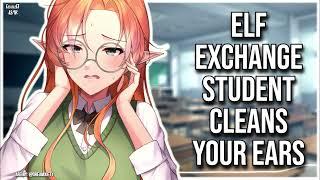 3DIO ASMR | Foreign Exchange Student Performs Elven Ear Cleaning Ritual  | Soft Spoken Sleep Aid