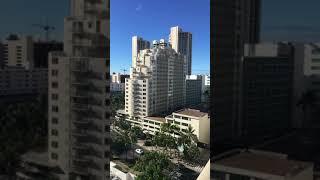 Sash Stangs and Voulé in Hawaii view from Hilton Garden Inn Waikiki Beach Oct 2017