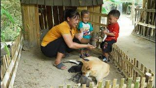 welcome baby Dau home, build new home for puppies - take care of puppies